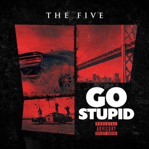 Go Stupid (Explicit)