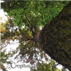 Crepitus