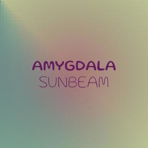 Amygdala Sunbeam