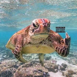 With Me (feat. W0kHardt & BTC) (Explicit)