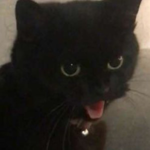 Ramenez La Coupe a la maison (Speed Up)