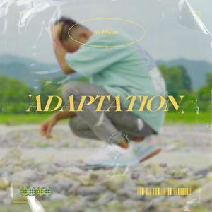Adaptation (Explicit)
