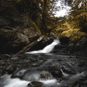 Water Stream Calming Watery Ambience (Loopable)