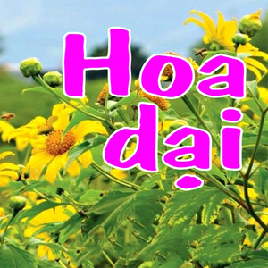 Năm tháng mong manh