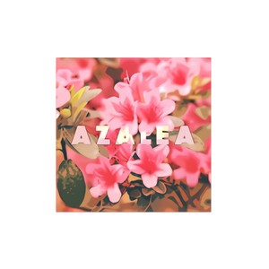 Azalea