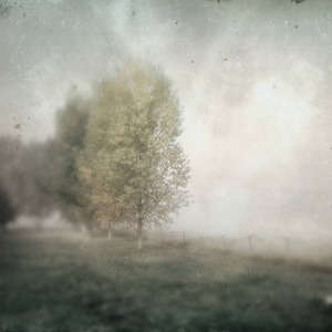 With Each Sweet Submersion