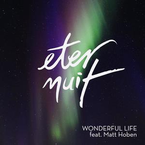 Wonderful Life (feat. Matt Hoben)