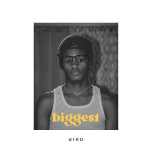 Biggest Bird (feat. s8leem & squidiqq) [Explicit]