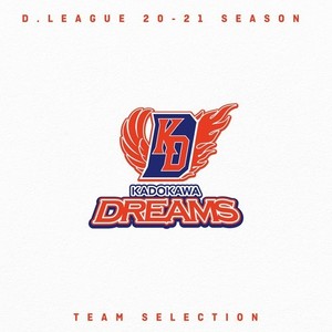 D.LEAGUE 20 -21 SEASON - TEAM SELECTION