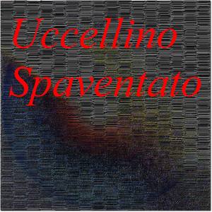 Uccellino Spaventato