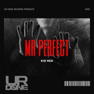 Mr Perfect (Explicit)