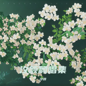 难诀别 (Live) - 许倾城封面