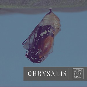 Chrysalis