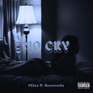 No Cry (feat. nicoarrocha) [Explicit]