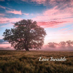 Love Invisible