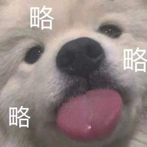 W W (。◕‿◕。)