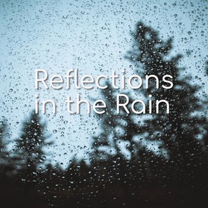 Reflections in the Rain