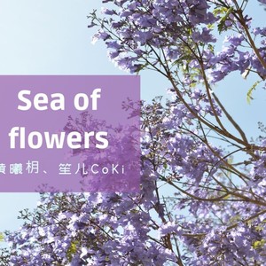 花海