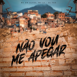 Não Vou Me Apegar