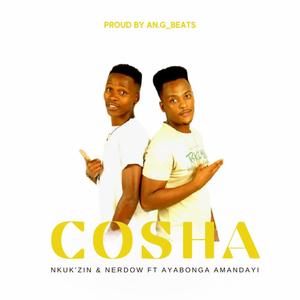 Cosha (feat. Nerdow & Ayabonga Amandayi)