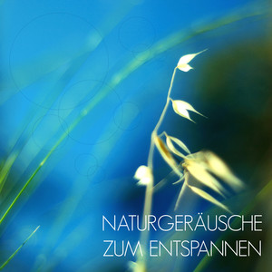 Naturgeräusche zum Entspannen - Musik zur Entspannung und Meditation mit Klänge der Natur als Einschlafhilfe