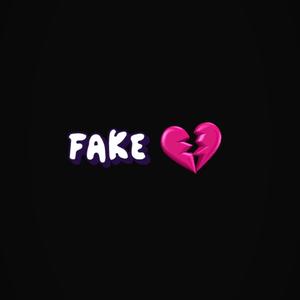 Fake Luv (feat. Lilz.Jr) [Explicit]