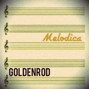 Melodica