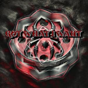 Got what i want (Explicit)