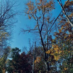 Grey Area (Explicit)