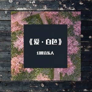 《爱·白色》