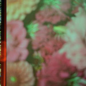 L2U (feat. Jazmin Ariana)