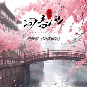 寄长歌 (DJ沈乐版)