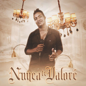 Nunca Te Valoré