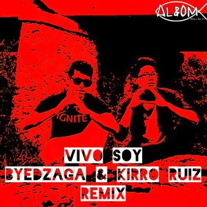 Vivo Soy (Remix)