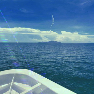 Crusing