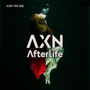 Afterlife