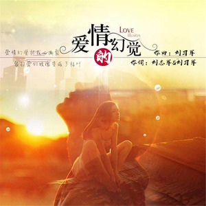 爱情的幻觉 - 刘习军封面