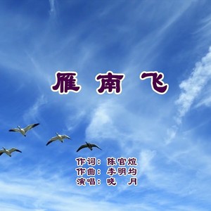 雁南飞