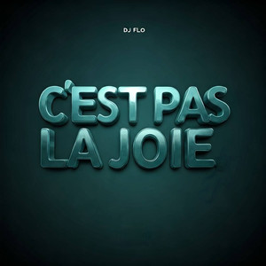 C'est pas la joie