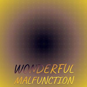 Wonderful Malfunction