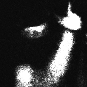 TANI CHWYT (Explicit)