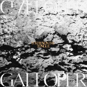 It Stays on the Tongue