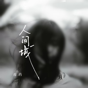 人间城 - 毒药封面