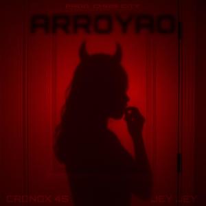 Arroyao (feat. Jey Jey) (Explicit)