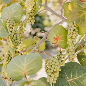 催眠曲5分钟快速入睡缓解焦虑抑郁症放松神经音乐