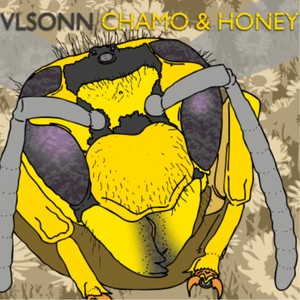 Chamo and Honey (TapeDeckBros Remix)