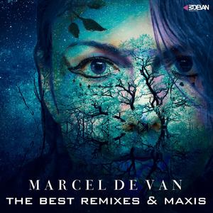 The Best Remixes & Maxis