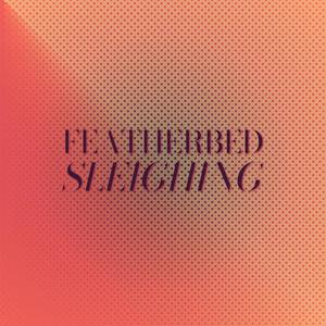 Featherbed Sleighing