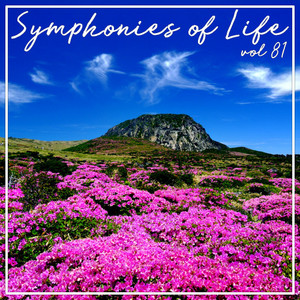Symphonies of Life, Vol. 81 - Ave Maria