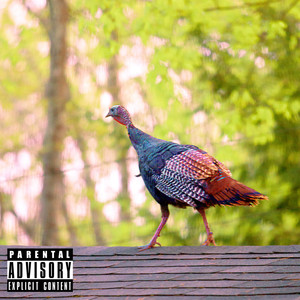 Wtfn Freestyle (Explicit)